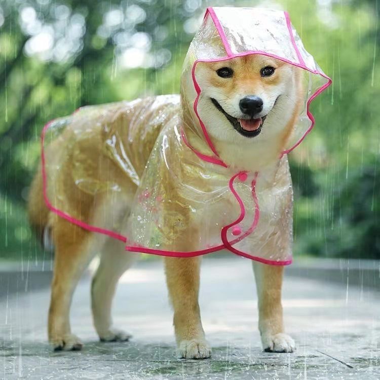 Transparent Dog Raincoat