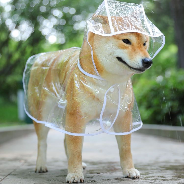 Transparent Dog Raincoat