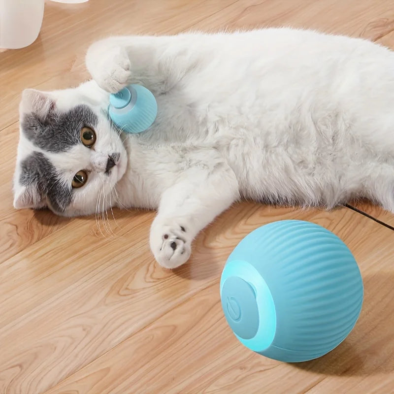 Interactive Cat Toy Ball